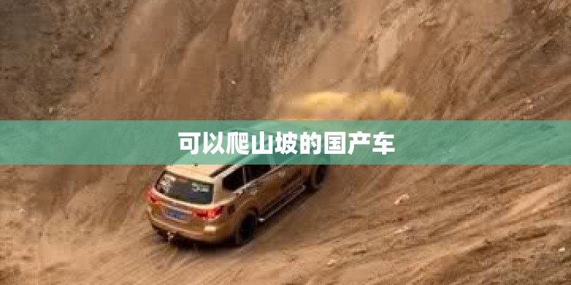 养心菜是一种什么菜？_1