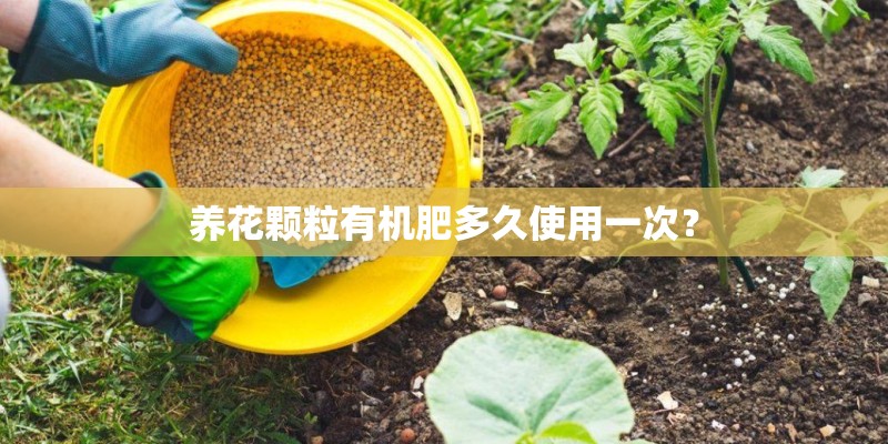 湖北鑫希望生态农业苍术种植的技术要领有哪些? 湖北鑫希望生态农业苍术种植的技术要领有哪些?