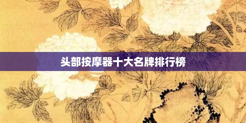头部按摩器十大名牌排行榜