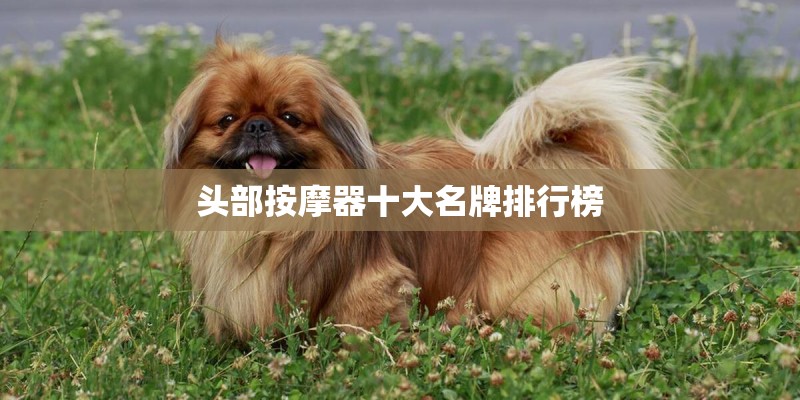 头部按摩器十大名牌排行榜