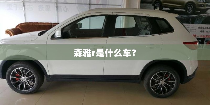 森雅r是什么车? 森雅r是什么车?