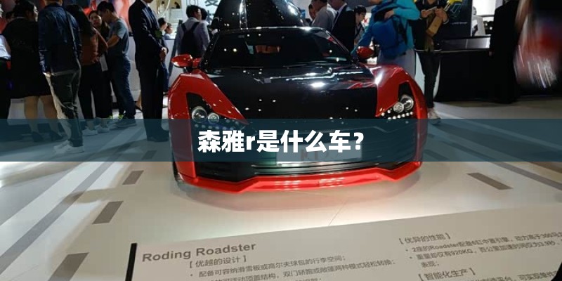 森雅r是什么车? 森雅r是什么车?