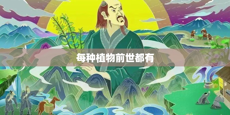 每种植物前世都有 每种植物前世都有