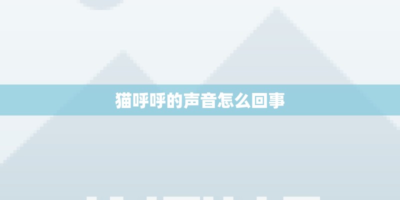 猫呼呼的声音怎么回事 猫呼呼的声音怎么回事