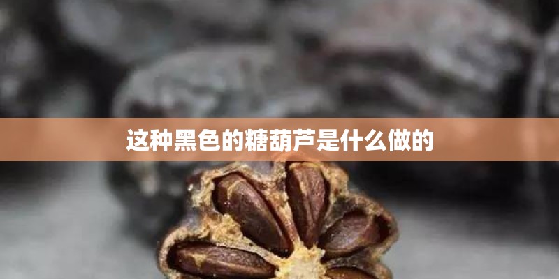 这种黑色的糖葫芦是什么做的