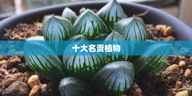 微信小程序制作要多少钱？