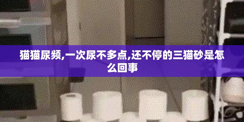 猫猫尿频,一次尿不多点,还不停的三猫砂是怎么回事