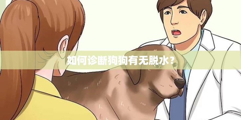 如何诊断狗狗有无脱水? 如何诊断狗狗有无脱水?