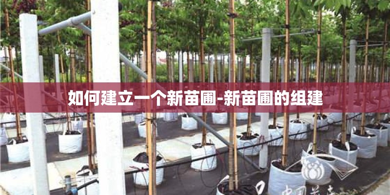 如何建立一个新苗圃-新苗圃的组建