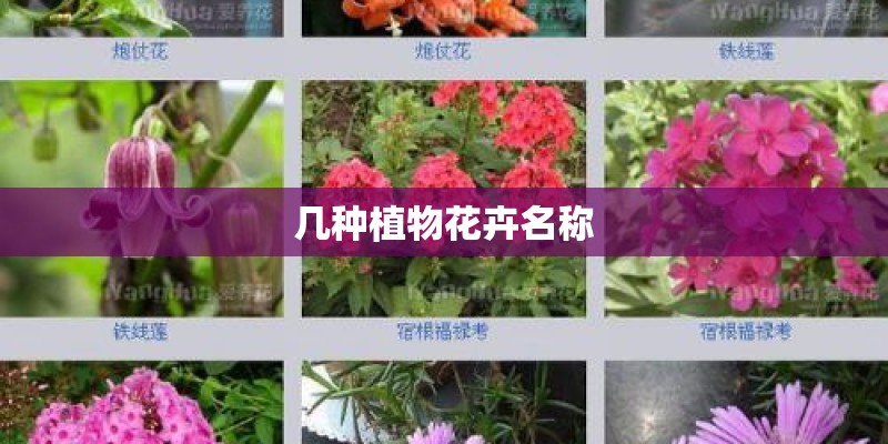 金坛买房人才补贴政策