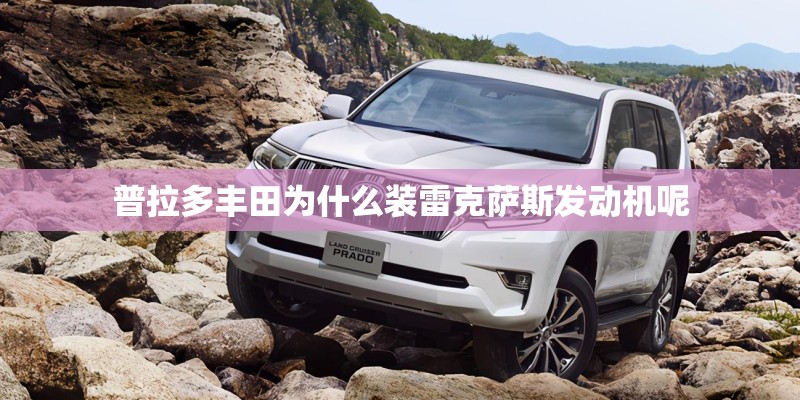 沙参种植方法 沙参种植方法