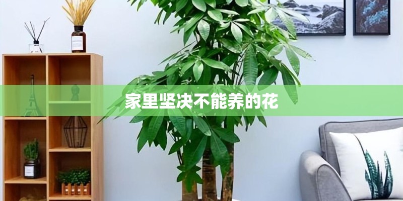 家里坚决不能养的花