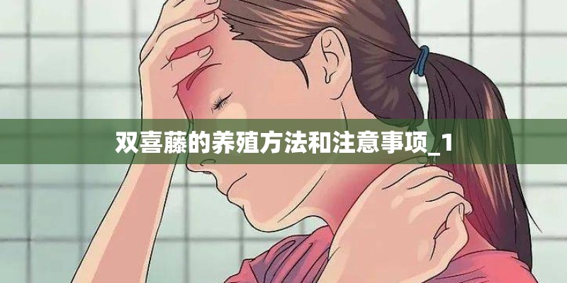 双喜藤的养殖方法和注意事项_1 双喜藤的养殖方法和注意事项_1