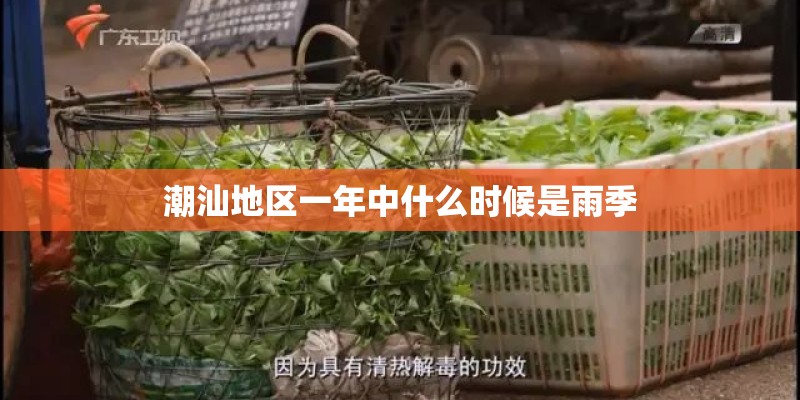 潮汕地区一年中什么时候是雨季