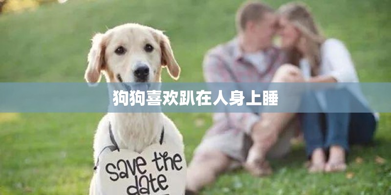 精油品牌排行榜前十名