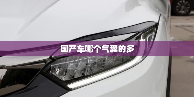 国产车哪个气囊的多