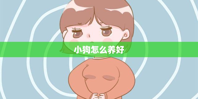 小狗怎么养好