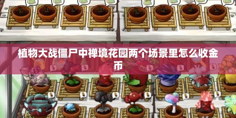 植物大战僵尸中禅境花园两个场景里怎么收金币