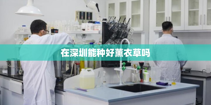 在深圳能种好薰衣草吗