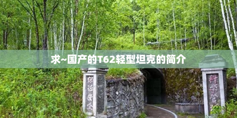 求~国产的T62轻型坦克的简介 求~国产的T62轻型坦克的简介