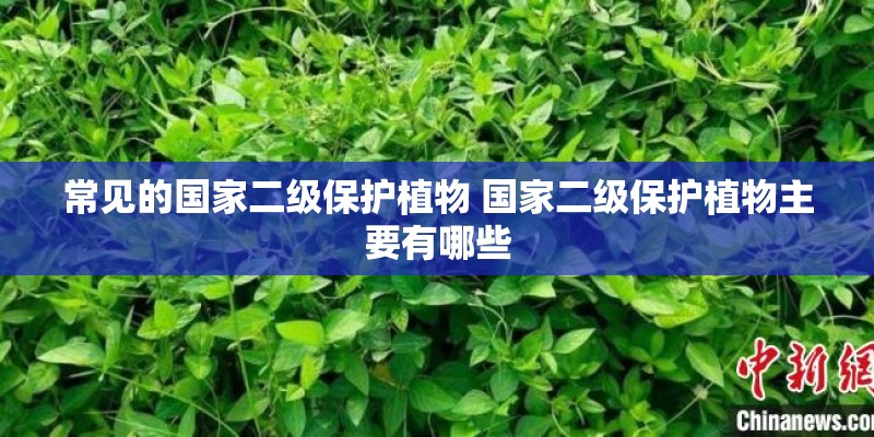 常见的国家二级保护植物 国家二级保护植物主要有哪些