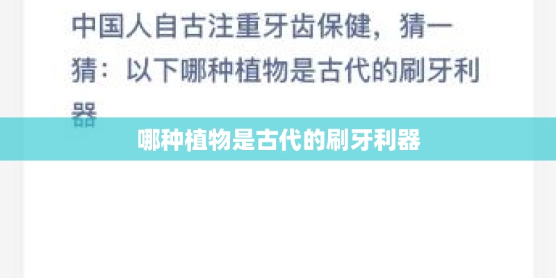 哪种植物是古代的刷牙利器