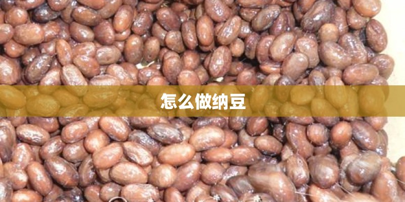 怎么做纳豆