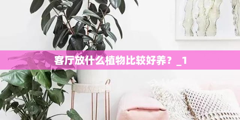 客厅放什么植物比较好养？_1
