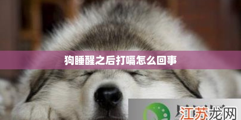 这样的配置能运行生化危机5游戏吗？