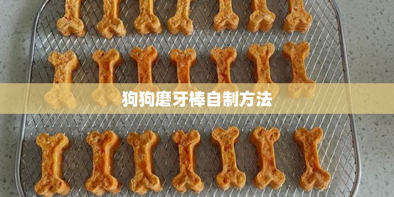 狗狗磨牙棒自制方法