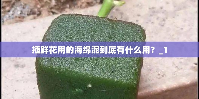 插鲜花用的海绵泥到底有什么用？_1