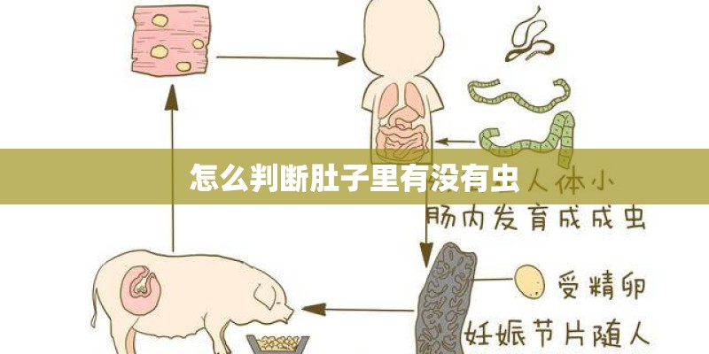怎么判断肚子里有没有虫