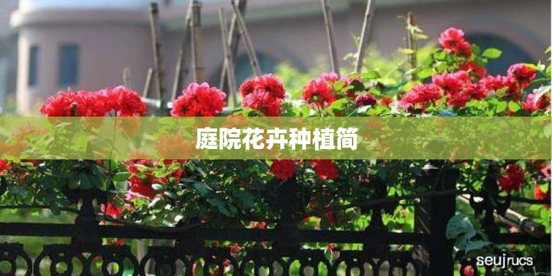 庭院花卉种植简