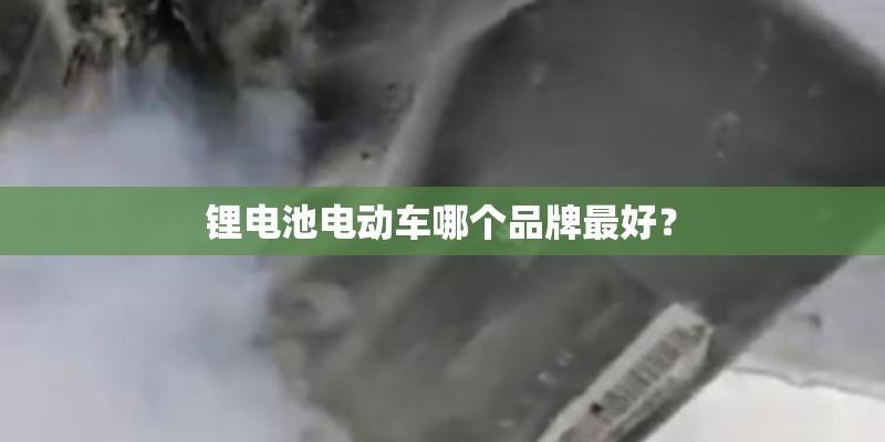 锂电池电动车哪个品牌最好? 锂电池电动车哪个品牌最好?