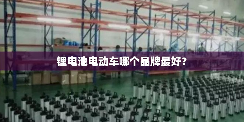 锂电池电动车哪个品牌最好? 锂电池电动车哪个品牌最好?