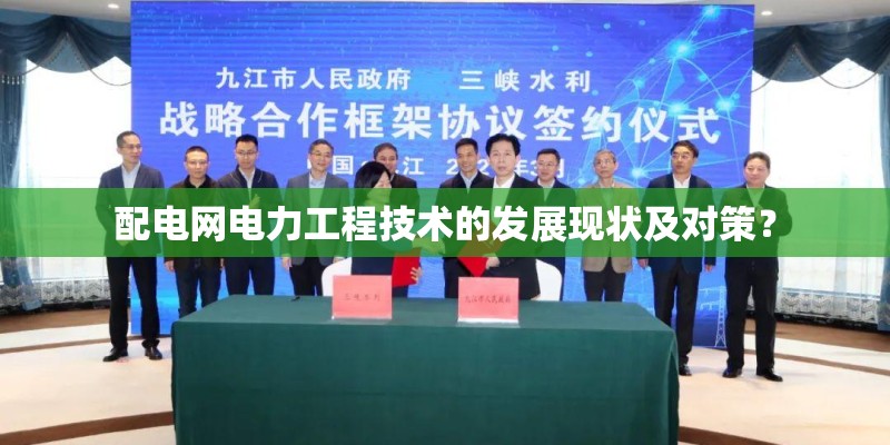 配电网电力工程技术的发展现状及对策？