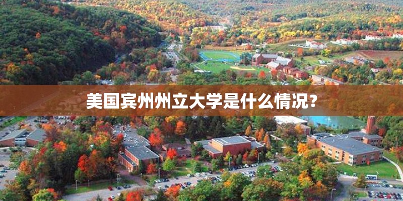 美国宾州州立大学是什么情况？