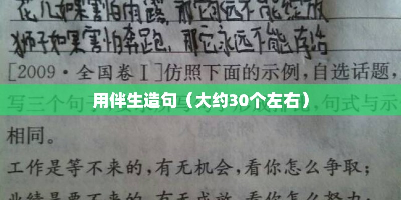 用伴生造句（大约30个左右）
