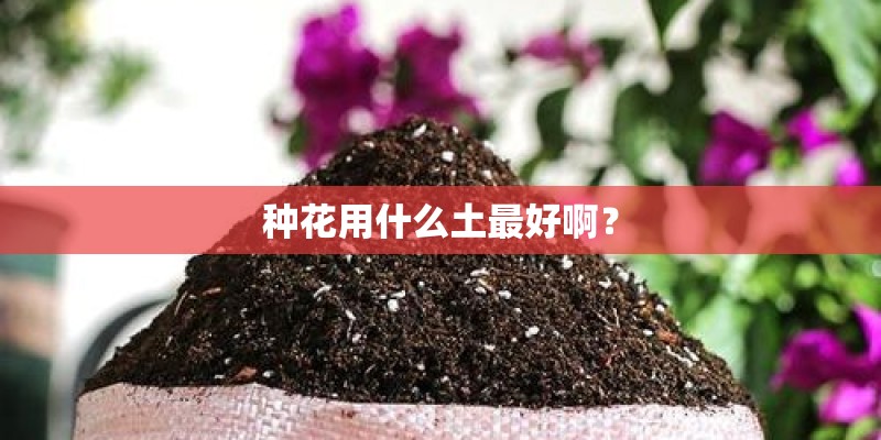 种花用什么土最好啊？