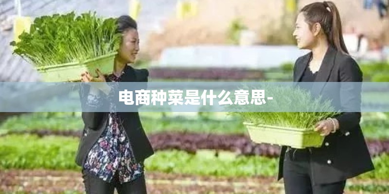 电商种菜是什么意思-