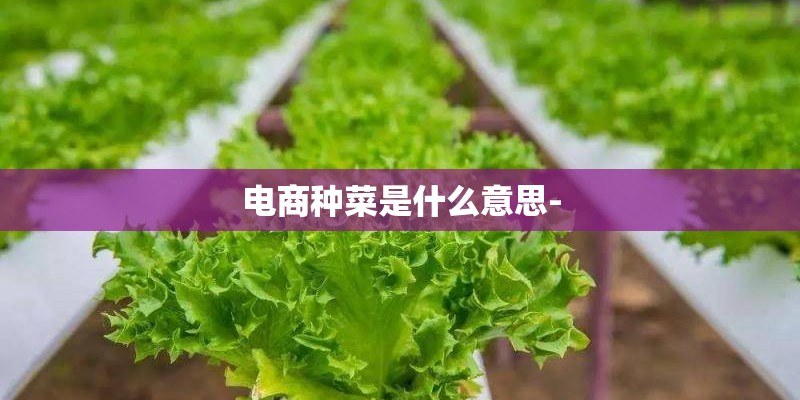 电商种菜是什么意思-