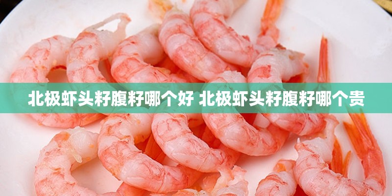 北极虾头籽腹籽哪个好 北极虾头籽腹籽哪个贵