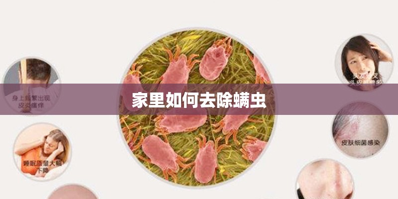 家里如何去除螨虫 家里如何去除螨虫