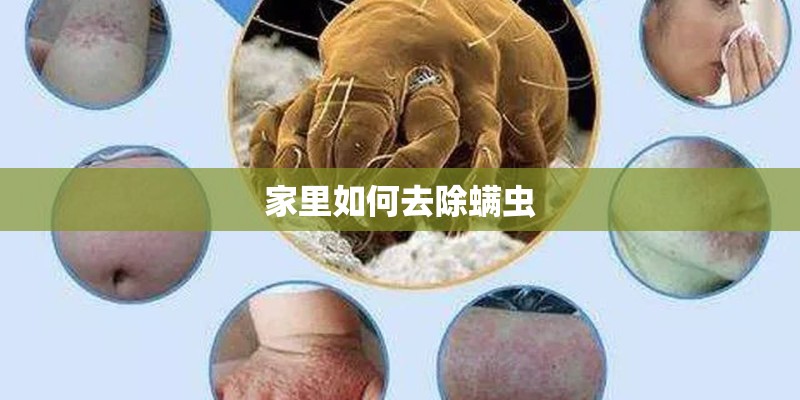 家里如何去除螨虫 家里如何去除螨虫