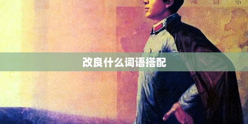 改良什么词语搭配