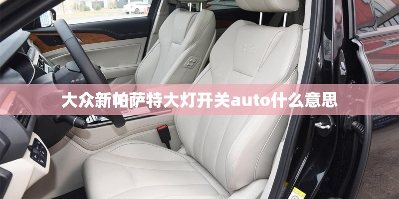 大众新帕萨特大灯开关auto什么意思