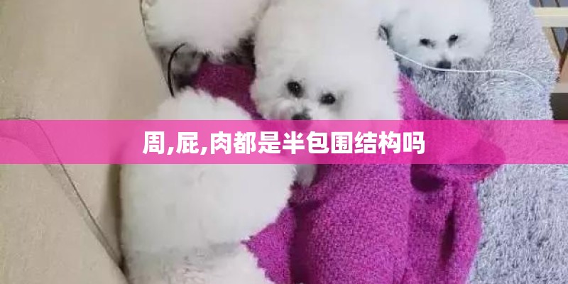 周,屁,肉都是半包围结构吗