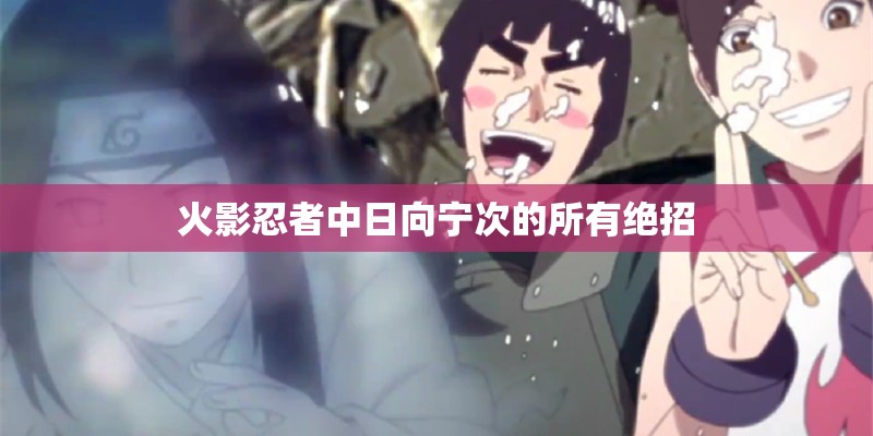 火影忍者中日向宁次的所有绝招