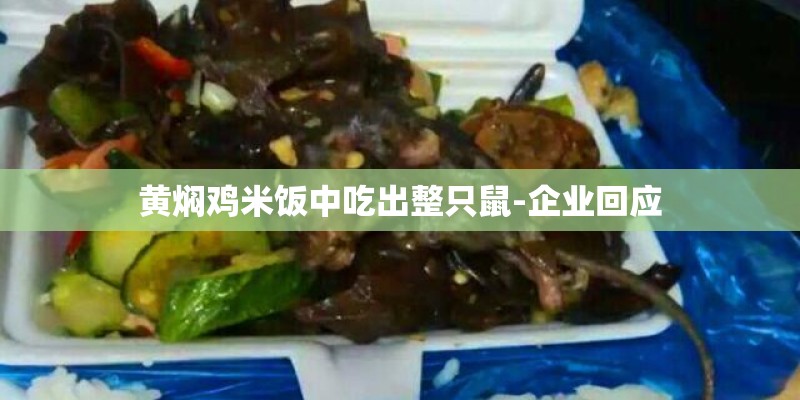 黄焖鸡米饭中吃出整只鼠-企业回应