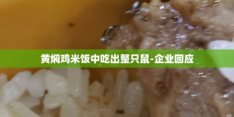 黄焖鸡米饭中吃出整只鼠-企业回应